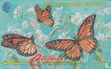 Butterflies - Bild 1