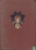 Handboek der moderne bijenteelt - Image 1