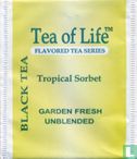 Black Tea Tropical Sorbet - Bild 1