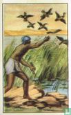 Egyptenaren maken jacht op de watervogels - Image 1