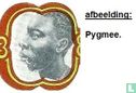 Pygmee Type - Image 3