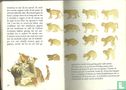 Katten  - Image 3