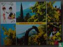 Côte d'Azur:mimosas en fleurs - Image 1