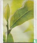 Grøn te med Citrus - Afbeelding 1