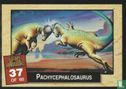 Pachycephalosaurus - Afbeelding 1