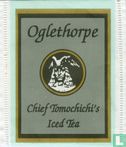 Chief Tomochichi`s  - Bild 1