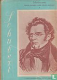 Het leven van Franz Schubert - Image 1