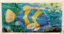 Poisson - Image 2