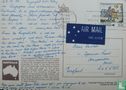 (BG 171) Kangaroo's
