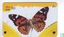 Butterfly - Bild 1