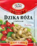 Dzika Róza zimbirem - Image 1