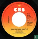 Any Way You Want It - Afbeelding 3