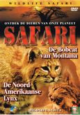 De Bobcat van Montana / De Noord-Amerikaanse Lynx - Bild 1