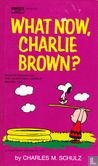 What now, Charlie Brown  - Image 1