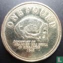 Gibraltar 1 pound 2013 "Discovery of a Neanderthal skull in Gibraltar in 1848" - Afbeelding 2