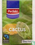 cactus - Image 1