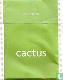 cactus - Image 2