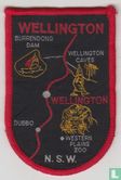 Wellington - Afbeelding 1