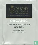 Lemon and Ginger  Infusion  - Image 1