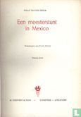 Een meesterstunt in Mexico - Bild 3