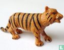 Tiger 'Akira' - Image 1