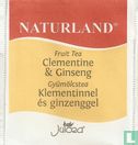 Clementine & Ginseng - Image 1
