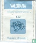 Valeriana - Afbeelding 1