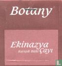 Ekinazya - Image 3