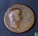 Romeinse Rijk, AE22, 54-68 AD, Nero, Cius, Bithynië - Afbeelding 1