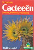 Cacteeen - Afbeelding 1