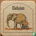 Bremme's Tierleben - Elefanten - Afbeelding 1