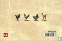 Australian Poultry Breeds - Image 2
