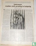 Leeuwen voelen zich prettig in Leipzig