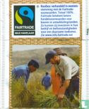 rooibos - Image 2
