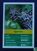 Tigerkatze - Afbeelding 1