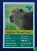 Capybara/Wasserschwein - Afbeelding 1