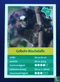 Gelbohr-Büschelaffe - Image 1