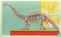 Het grootste fossiele beest - Image 1