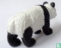 Panda 'Piero' - Bild 2