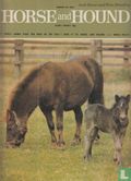 Horse and hound 4938 - Image 1