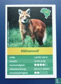 Mähnenwolf - Image 1