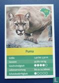 Puma - Image 1