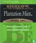 Plantation Mint [r]  - Image 1