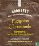 Egyptian Chamomile - Afbeelding 2