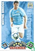 Wayne Bridge - Image 1