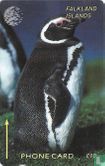 Jackass Penguin - Image 1
