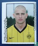 Mladen Petric-Borussia Dortmund - Image 1