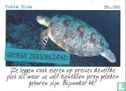 Costa Rica - Groene zeeschildpad - Afbeelding 1