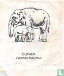 Olifant