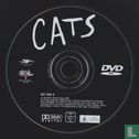 Cats - Image 3